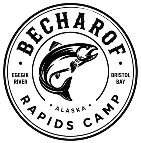 becharofrapidscamp.com